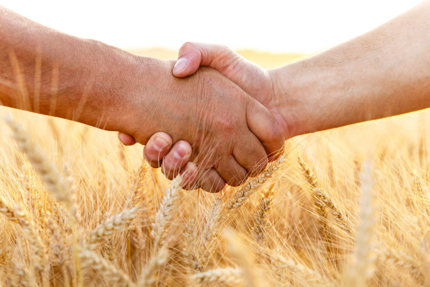 Partenaire matériel agricole des céréaliers et éleveurs - Hamel