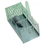 piege-cage-souris-21cm-fj21212h-hamel