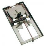tapette-fj211112h-piege-souris-hamel