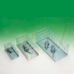 pieges-cages-souris-rat