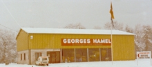 entreprise hamel origine